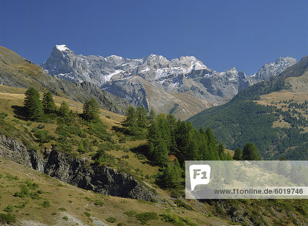Landschaft mit Bäumen und Bergen in der Vanoise  Savoie (Savoy) im Rhone-Alpes  französische Alpen  Frankreich  Europa