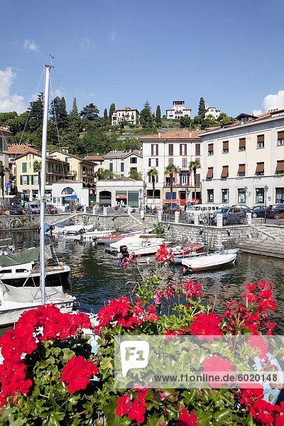 Town and harbour  Menaggio  Lake Como  Lombardy  Italian Lakes  Italy  Europe