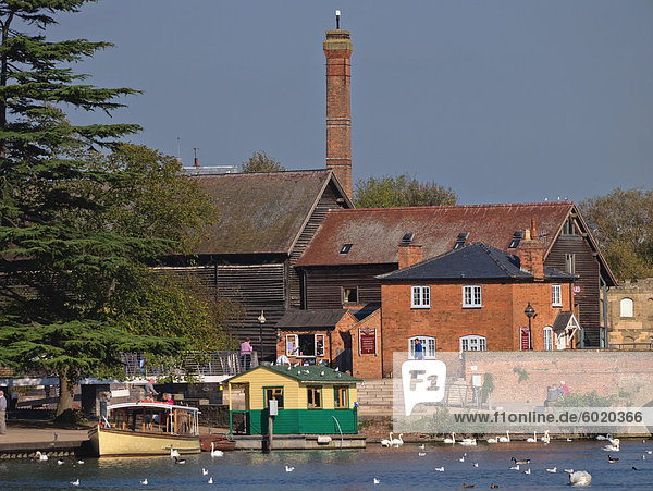 Stratford-upon-Avon  Fluss Avon  Warwickshire  England  Vereinigtes Königreich  Europa