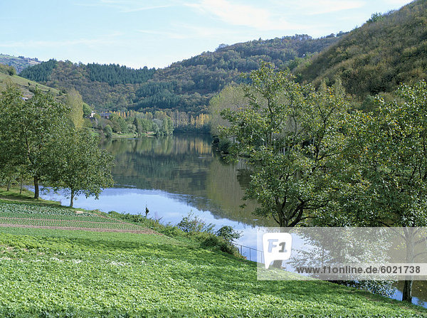 Kopfsalat Anbau im Vordergrund  vom Fluss Lot  in der Nähe von Port d'Acres  nördlich von Decazeville  Midi-Pyrenees  Frankreich  Europa