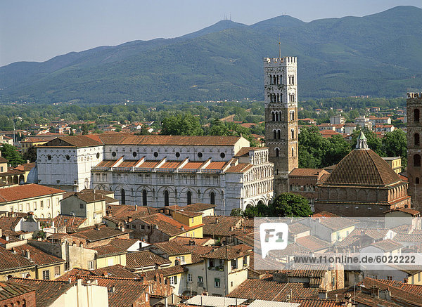 View from Torre del Ore including San Martino  Lucca  Tuscany  Italy  Europe