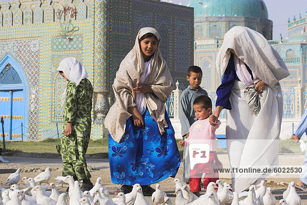 Family looking at the famous white pigeons  Shrine of Hazrat Ali  Mazar-I-Sharif  Afghanistan  Asia