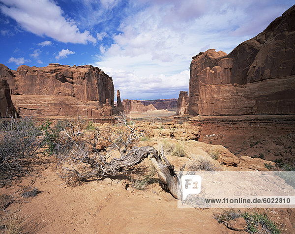 Park Avenue,  Arches Nationalpark,  Moab,  Utah,  USA,  Nordamerika