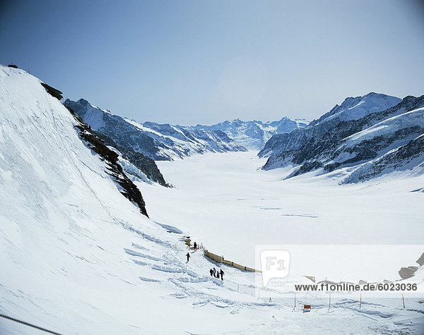 Der Aletschgletscher vom Jungfraujoch  Schweizer Alpen  Schweiz  Europa