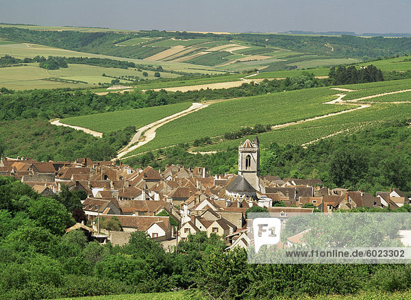 Dorf der Irancy  Burgund  Frankreich  Europa