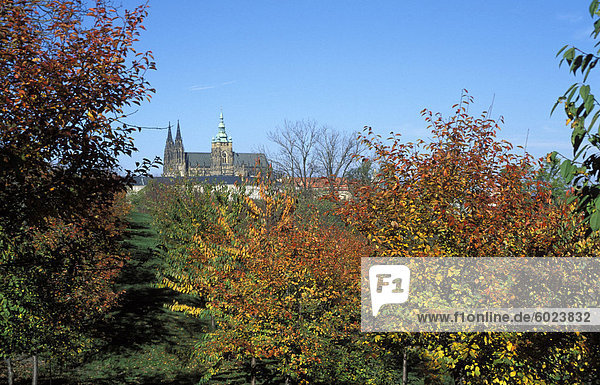 Ansicht der Bäume im Herbst Farben auf dem Petrin-Hügel-Gärten mit Prager Burg in der Ferne  Mala Strana  Prag  Tschechische Republik  Europa