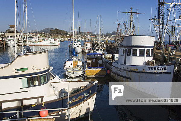 Fischerboote Morro Bay City San Luis Obispo County California Vereinigte Staaten von Amerika Nordamerika