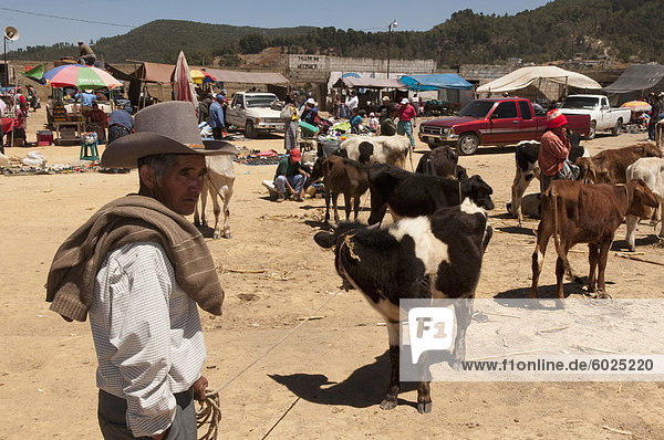 Animal market at San Francisco El Alto  Guatemala  Central America