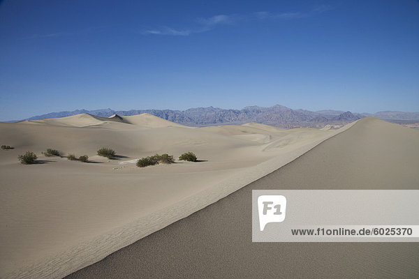 Die Sanddünen  Death Valley National Park  California  Vereinigte Staaten von Amerika  Nordamerika