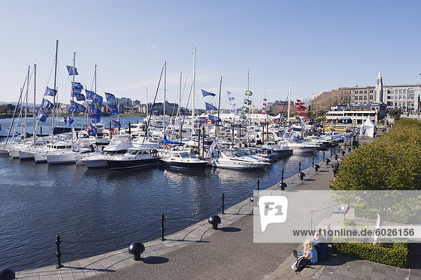 Boats on James Bay Inner Harbour  Victoria  Vancouver Island  British Columbia  Canada  North America