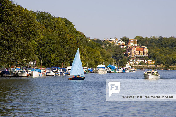 Boote auf der Themse in der Nähe von Richmond-upon-Thames  Surrey  England  Vereinigtes Königreich  Europa