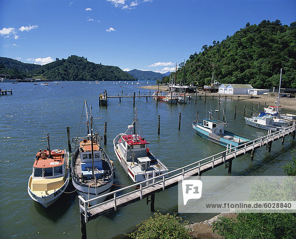 A. S. Echo and pleasure craft in Picton Harbour at the entrance to Queen Charlotte Sound  Marlborough  South Island  New Zealand  Pacific