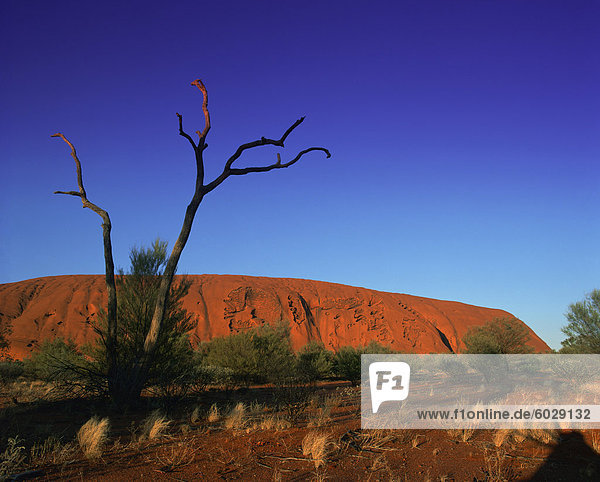 Ayers Rock bei Sonnenaufgang  Uluru-Kata Tjuta Nationalpark  Northern Territory  Australien  Pazifik