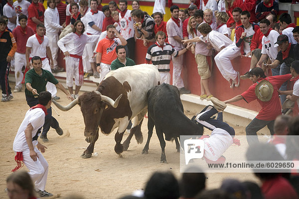 Running of the bulls  San Fermin festival  Plaza de Toros  Pamplona  Navarra  Euskadi  Spain  Europe