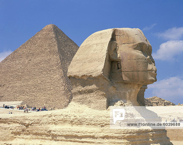 Die große Sphinx und einer der die Pyramiden von Gizeh  UNESCO Weltkulturerbe  Kairo  Ägypten  Nordafrika  Afrika