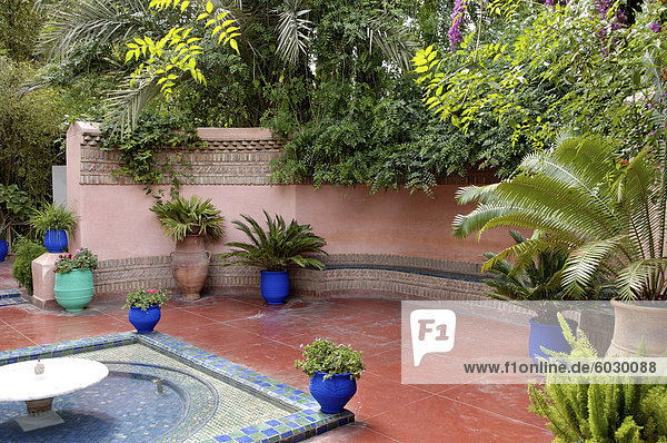 Majorelle Garten  erstellt von der französischen Tischlers Louis Majorelle und wiederhergestellt  indem die Modeschöpfer Yves Saint Laurent  Marrakesch  Marokko  Nordafrika  Afrika
