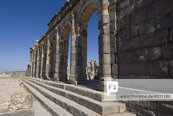 Basilika  römische Ruinen  Volubilis  UNESCO Weltkulturerbe  Marokko  Nordafrika  Afrika
