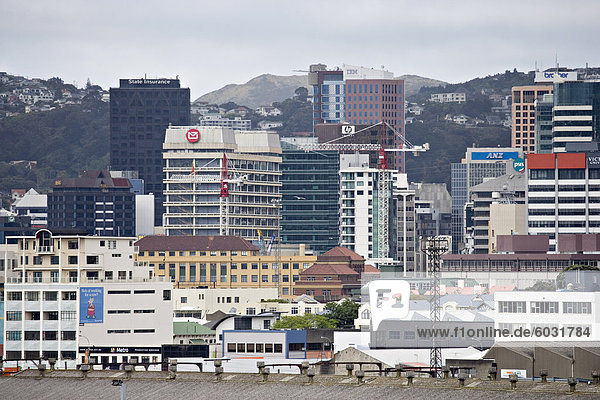 Wellington Stadt gesehen von der Interislander Fähre  Wellington  Nordinsel  Neuseeland  Pazifik