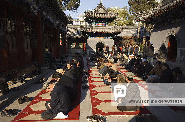 Muslims praying at Niujie mosque  Beijing  China  Asia
