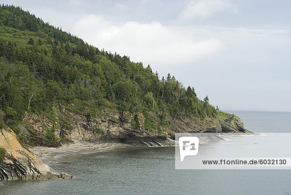 Forillon National Park of Canada  Gaspe  Gaspe peninsula  province of Quebec  Canada  North America