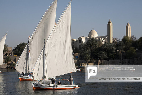 Feluccas Segeln am Fluss Nil bei Assuan  Ägypten  Nordafrika  Afrika
