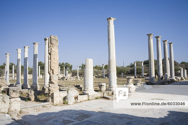 Die Ausgrabungsstätte von Salamis  Salamis  Nord-Zypern  Europa