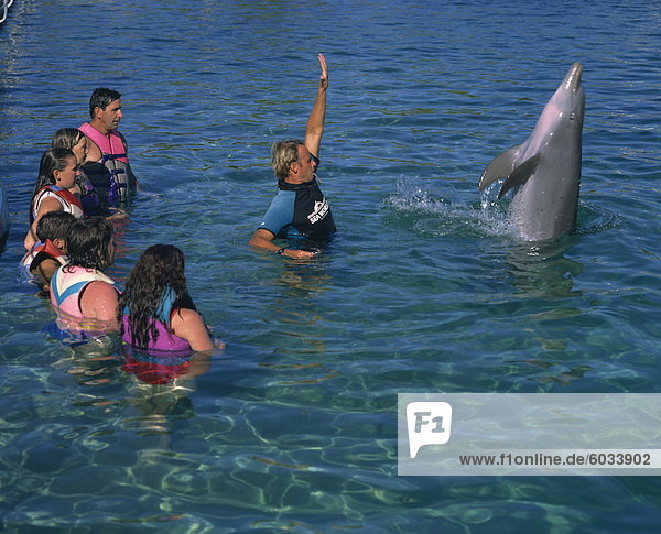 Kleine Gruppe von Menschen stehen im Wasser  Schwimmen mit Delphinen  Sea World  Surfers Paradise  Queensland  Australien  Pazifik