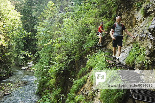 Wanderer auf Stahl Leitern  Horad River Gorge-Wanderweg  Slovensky Raj  Nationalpark Paradies  Slowakei  Europa