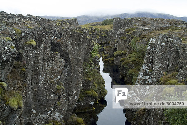 Thingvellir  Website des ursprünglichen 10. Jahrhundert isländischen (Parlament) und geografische Kluft zwischen Europa und Nordamerika  Island  Polarregionen