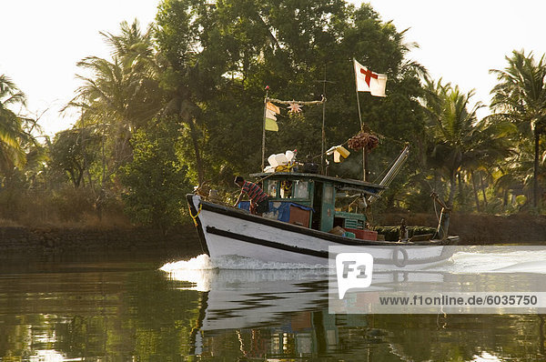 Fischerboote am Altwasser in der Nähe von Mobor  Goa  Indien  Asien