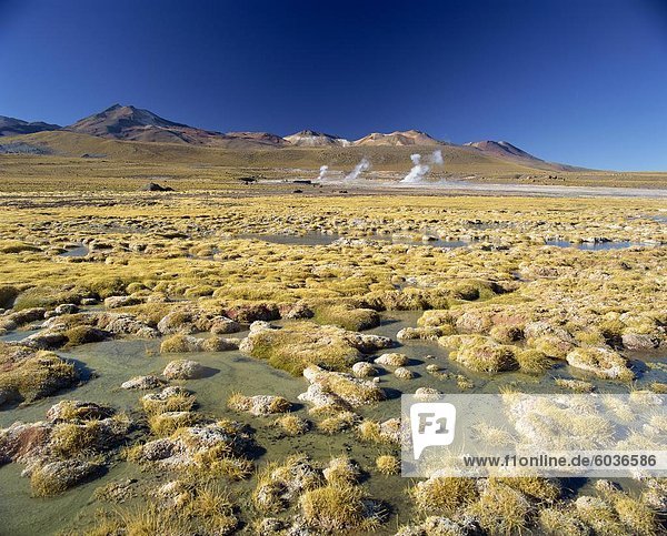 El Tatio Geysir in der San Pedro de Atacama  Chile  Südamerika