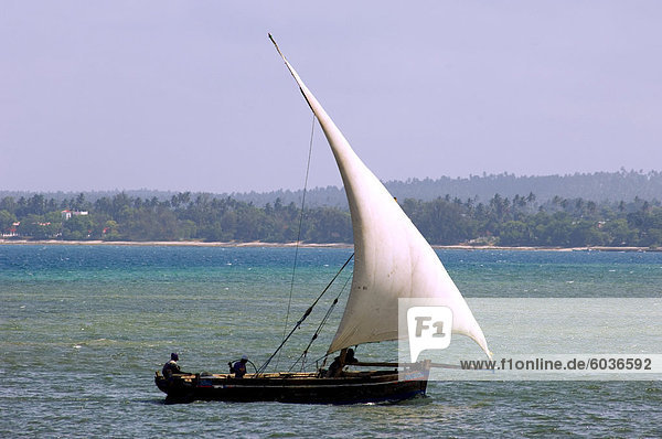 Einem traditionellen hölzernen Dhow Segeln vor der Küste von Tansania  Ostafrika  Afrika