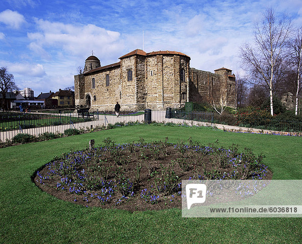Upper Castle Park and Colchester Castle  the oldest Norman keep in the U.K.  Colchester  Essex  England  United Kingdom  Europe