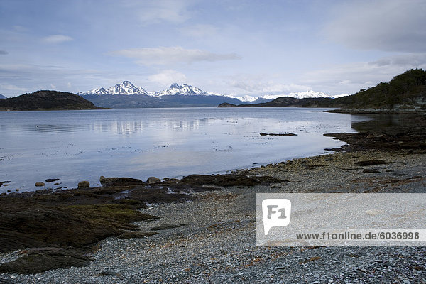 Küste  Ushuaia  Tierra del Fuego Nationalpark  Argentinien  Südamerika