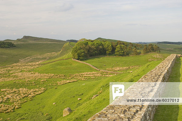 Roman Wand nach Osten lag fort zu nähen Shields Crags  Hadrianswall  UNESCO Weltkulturerbe  Northumberland  England  Vereinigtes Königreich  Europa