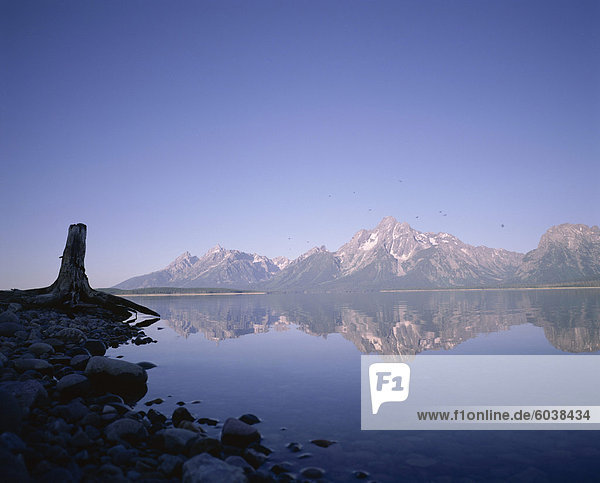 Earling Morgen Reflexionen  Jackson Lake  Grand-Teton-Nationalpark  Wyoming  Vereinigte Staaten von Amerika (USA)  Nordamerika