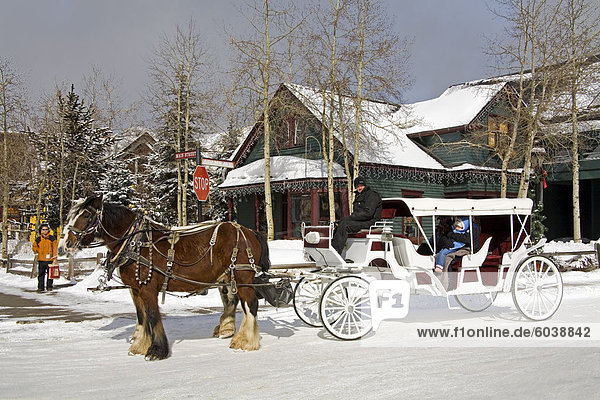 Horse and carriage  Breckenridge  Rocky Mountains  Colorado  United States of America  North America