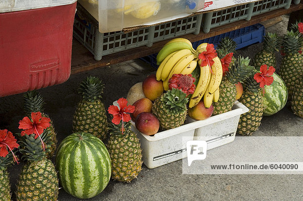 Obst Abwürgen  Manuel Antonio  Costa Rica  Mittelamerika
