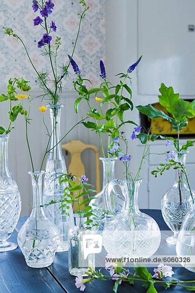Sammlung von Pflanzen in Vasen