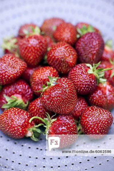 Erhöhte Ansicht von frischen Erdbeeren