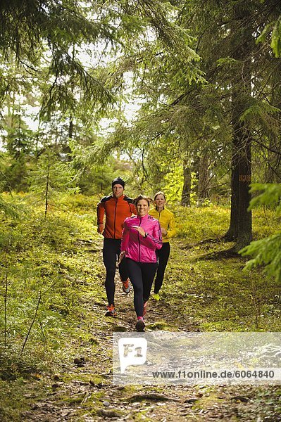 Three athletes jogging through forest