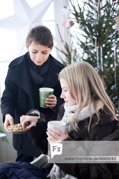 Winter teilen Junge - Person Mantel frontal Weihnachtsbaum Tannenbaum Keks Mädchen Treibhaus