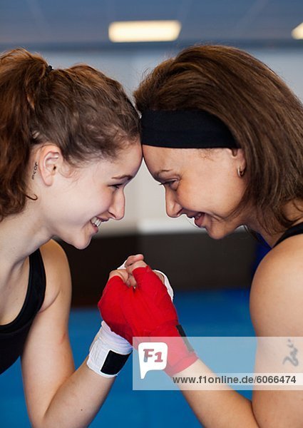 Zwei weibliche Boxer von Angesicht zu Angesicht