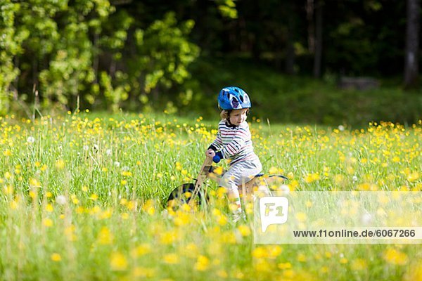 Junge Radfahren in Wiese