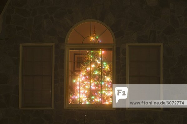 Illuminated Christmas tree in house