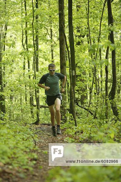 Male trail runner in a lush green forest.