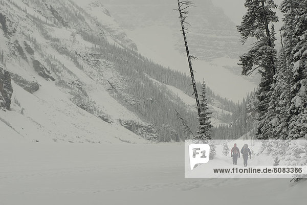Two ice climbers walking in a snow storm to a frozen waterfall at Lake Louise  Alberta  Canada.