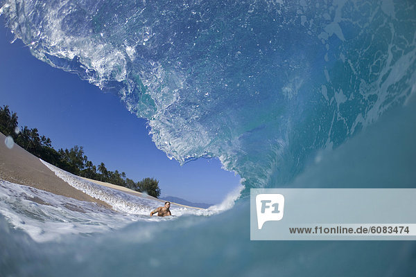 Mann  Strand  Treffer  treffen  jung  Hawaii  North Shore  Oahu  Wasserwelle  Welle