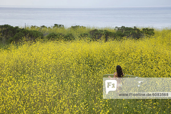 Frau  Blume  gehen  Strand  gelb  Feld  jung  strecken