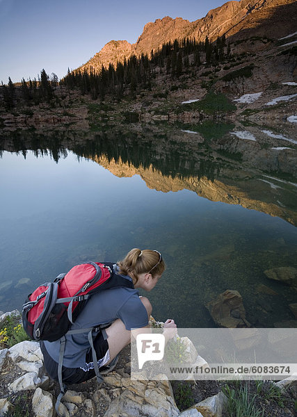 A hiker studies the small fish found in Cecret Lake in Utah's Little Cottonwood Canyon.